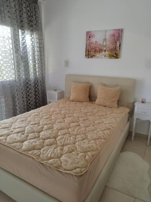 Renovated Apartment With Garden And Parking Space Peraía Dış mekan fotoğraf