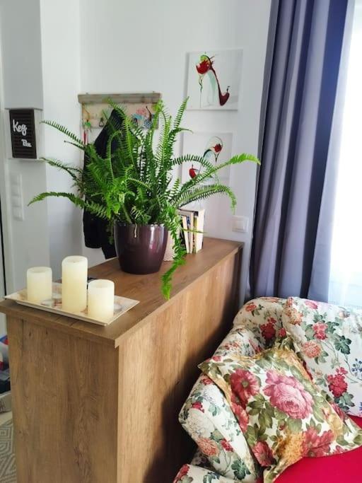 Renovated Apartment With Garden And Parking Space Peraía Dış mekan fotoğraf
